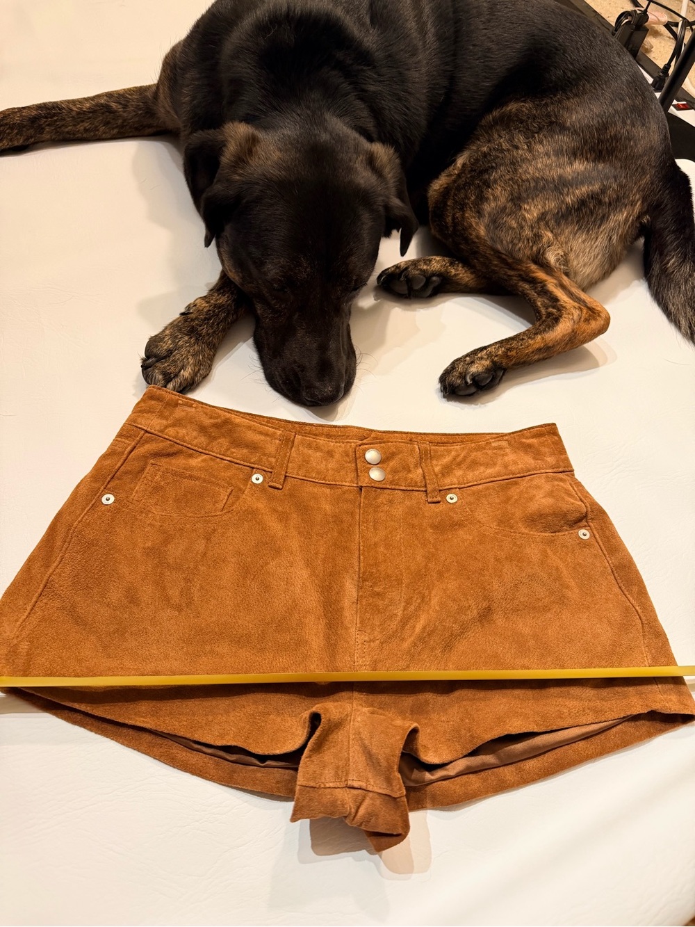 Shorts - Picture 4 of 7